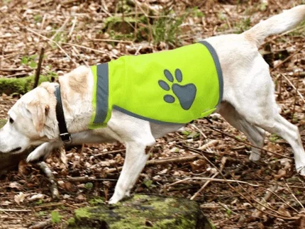 ⭐️Pawsome Pets⭐️ - Cat & Dog High Vis Vest - Small
