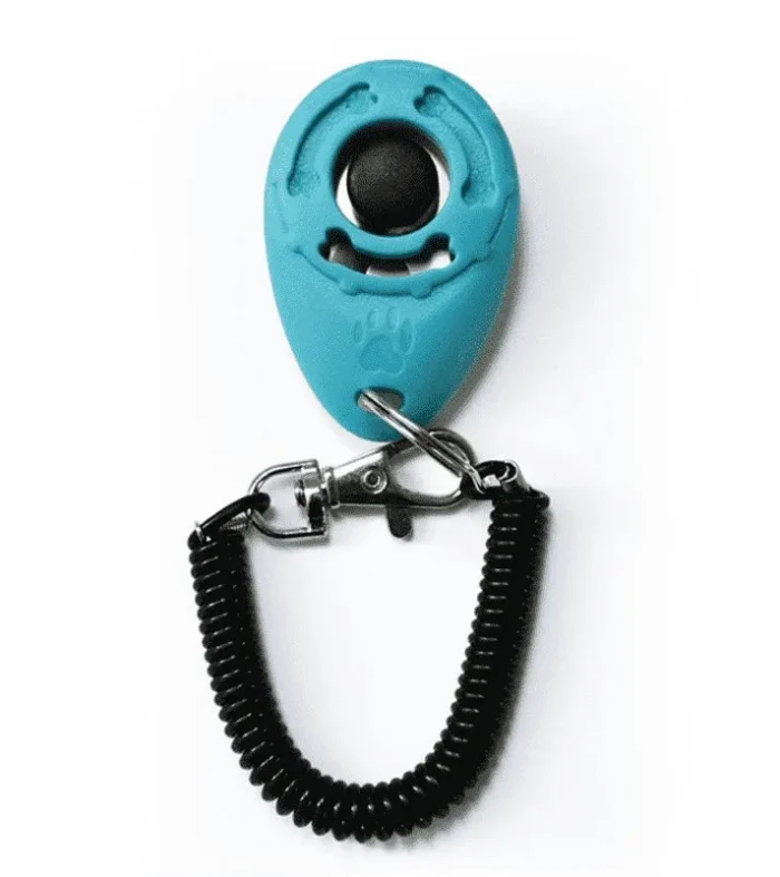 ⭐️Pawsome Pets⭐️ - Dog Training Clicker - MediumTurquoise
