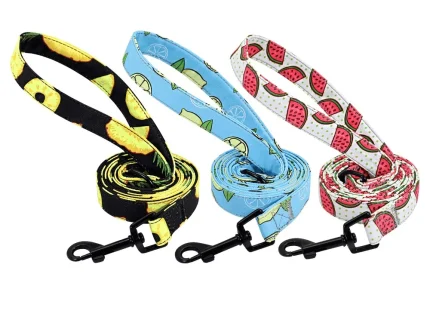 ⭐️Pawsome Pets⭐️ - Fruity Flavours Dog Lead - Water Melon