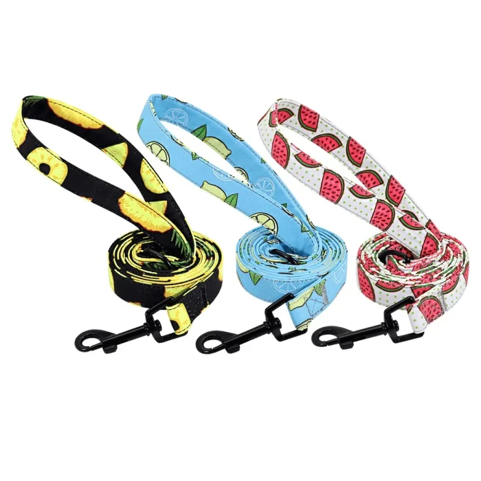 ⭐️Pawsome Pets⭐️ - Fruity Flavours Dog Lead - Water Melon