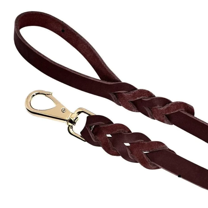 ⭐️Pawsome Pets⭐️ - Heavy Duty Leather Dog Lead - Black