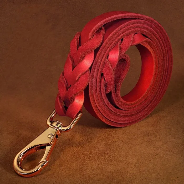 ⭐️Pawsome Pets⭐️ - Heavy Duty Leather Dog Lead - Red