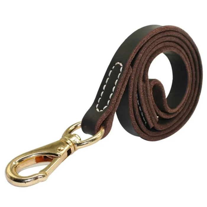 ⭐️Pawsome Pets⭐️ - Leather Estate Dog Lead - Black