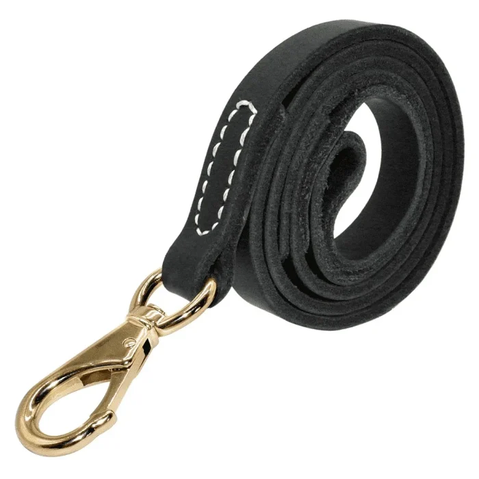 ⭐️Pawsome Pets⭐️ - Leather Estate Dog Lead - Black