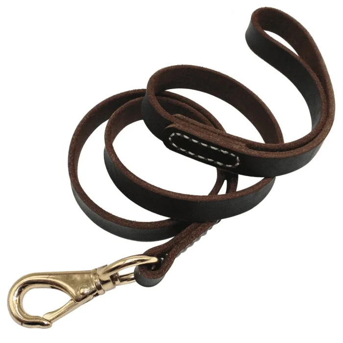 ⭐️Pawsome Pets⭐️ - Leather Estate Dog Lead - Black