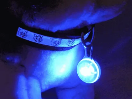 LED Dog Collar Light Pendant - ⭐️Pawsome Pets⭐️