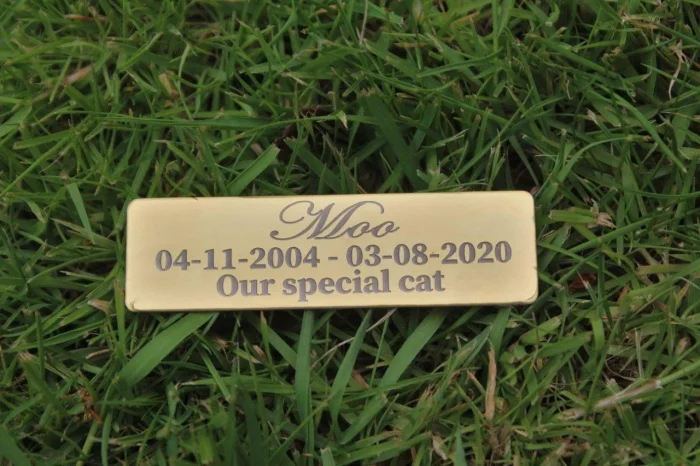 ⭐️Pawsome Pets⭐️ - Pet Memorial Plaque Mirror Stainless - Black (Matte) / Indoor