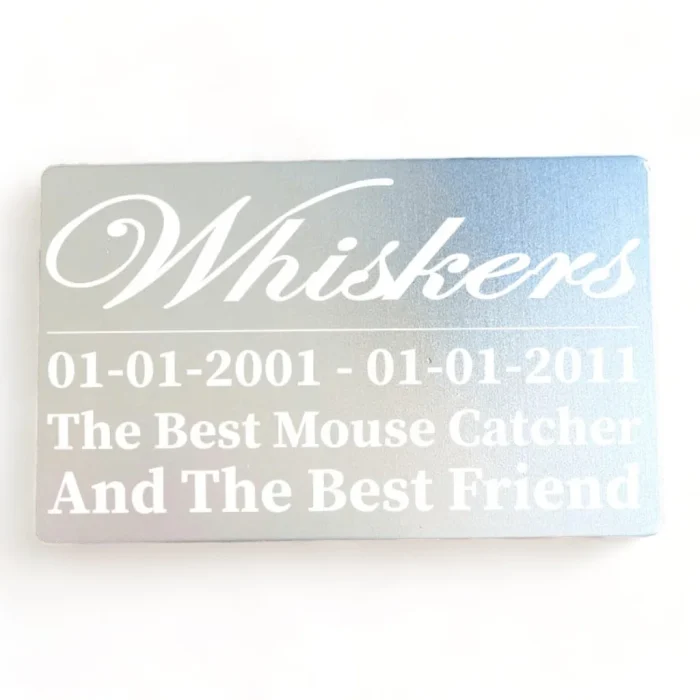 ⭐️Pawsome Pets⭐️ - Pet Memorial Plaque - Silver / Indoor