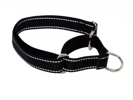 Designer Martingale Dog Collar ⭐️Pawsome Pets⭐️ - PMW Basics Martingale Dog Collar - Black / S