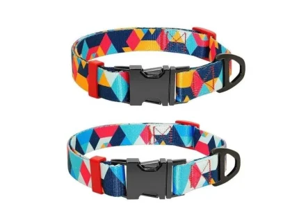 ⭐️Pawsome Pets⭐️ - The Boss Dog Collar - Blue / S / No