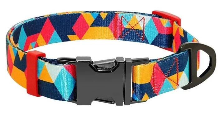 ⭐️Pawsome Pets⭐️ - The Boss Dog Collar - Orange / S / No