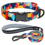 ⭐️Pawsome Pets⭐️ - The Boss Dog Collar - Orange / S / Yes