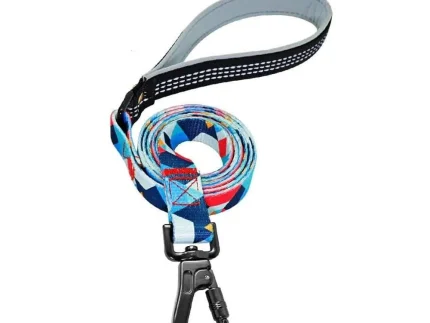 ⭐️Pawsome Pets⭐️ - The Boss Dog Lead - Blue