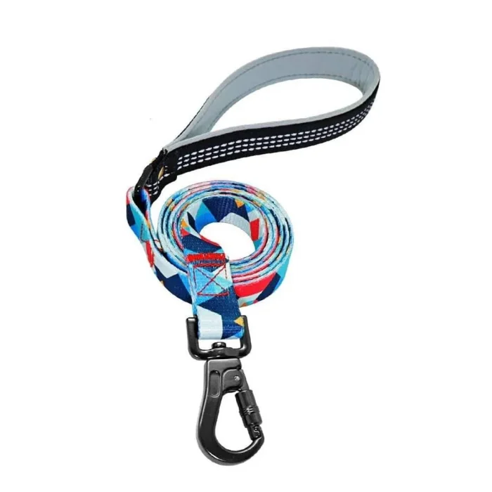 ⭐️Pawsome Pets⭐️ - The Boss Dog Lead - Blue