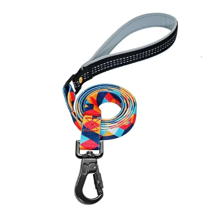 ⭐️Pawsome Pets⭐️ - The Boss Dog Lead - Orange