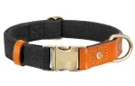 ⭐️Pawsome Pets⭐️ - Two Tone Executive Dog Collar - Black / S / No
