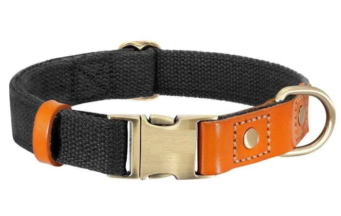 ⭐️Pawsome Pets⭐️ - Two Tone Executive Dog Collar - Black / S / No