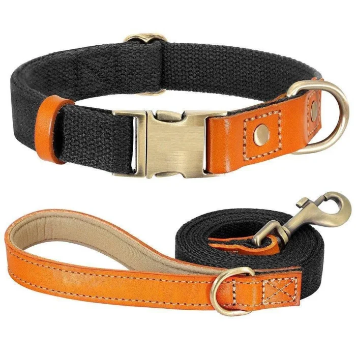 ⭐️Pawsome Pets⭐️ - Two Tone Executive Dog Collar - Black / S / Yes