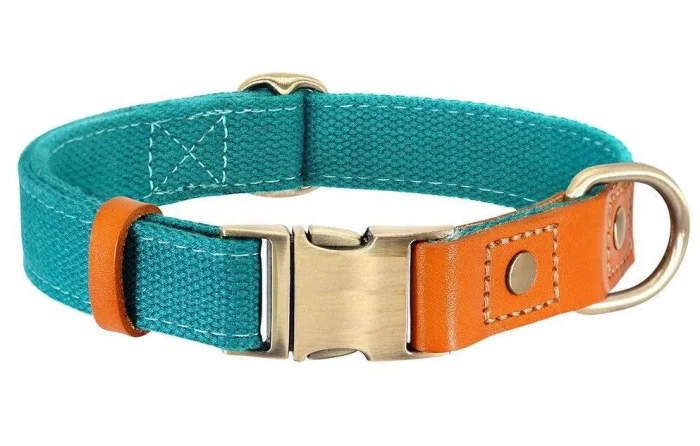 ⭐️Pawsome Pets⭐️ - Two Tone Executive Dog Collar - DarkCyan / S / No