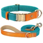 ⭐️Pawsome Pets⭐️ - Two Tone Executive Dog Collar - DarkCyan / S / Yes