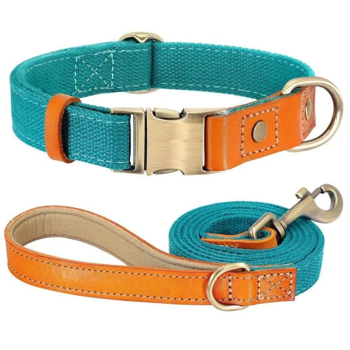 ⭐️Pawsome Pets⭐️ - Two Tone Executive Dog Collar - DarkCyan / S / Yes