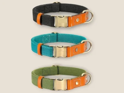 The Boss Dog Lead ⭐️Pawsome Pets⭐️ - Two Tone Executive Dog Collar - DarkOliveGreen / S / No