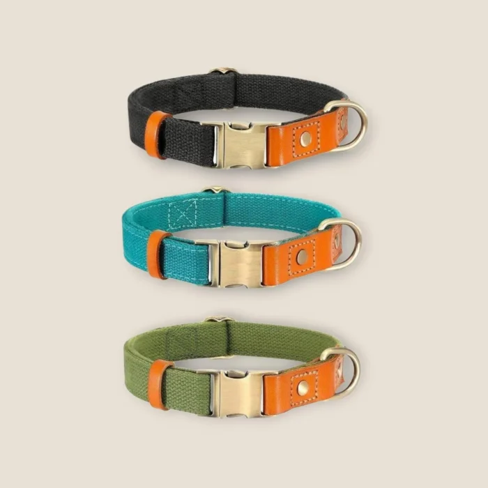 ⭐️Pawsome Pets⭐️ - Two Tone Executive Dog Collar - DarkOliveGreen / S / No