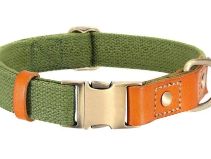 ⭐️Pawsome Pets⭐️ - Two Tone Executive Dog Collar - DarkOliveGreen / S / No