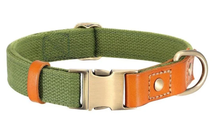 ⭐️Pawsome Pets⭐️ - Two Tone Executive Dog Collar - DarkOliveGreen / S / No
