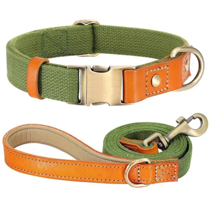 ⭐️Pawsome Pets⭐️ - Two Tone Executive Dog Collar - DarkOliveGreen / S / Yes