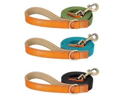 ⭐️Pawsome Pets⭐️ - Two Tone Executive Dog Lead - DarkCyan