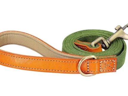⭐️Pawsome Pets⭐️ - Two Tone Executive Dog Lead - DarkGreen