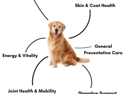 Pawsome Nutrition Complete Canine 200g – Dog Supplement NZ