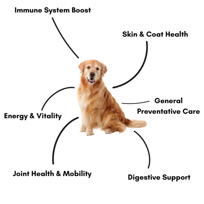 Pawsome Nutrition Complete Canine 200g – Dog Supplement NZ - Image 2