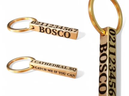 Obelisk | Bespoke Brass | Dog Pet ID Tag