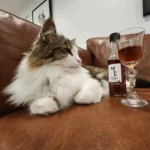 Purrno Noir - Image 3