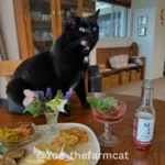 Purrno Noir - Image 4